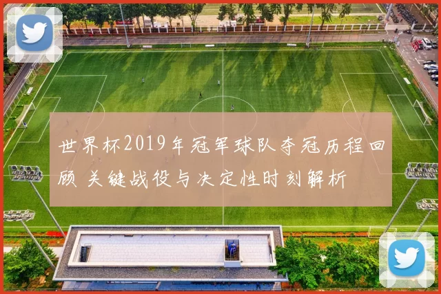 世界杯2019年冠军球队夺冠历程回顾 关键战役与决定性时刻解析