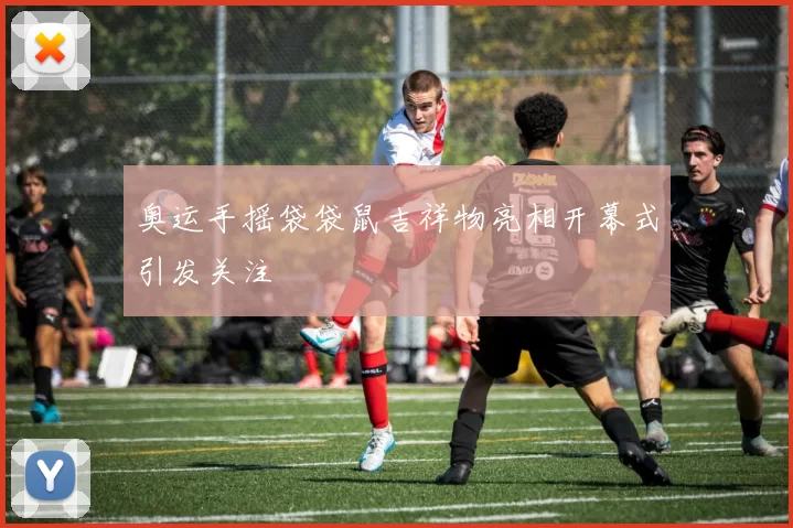 奥运手摇袋袋鼠吉祥物亮相开幕式引发关注