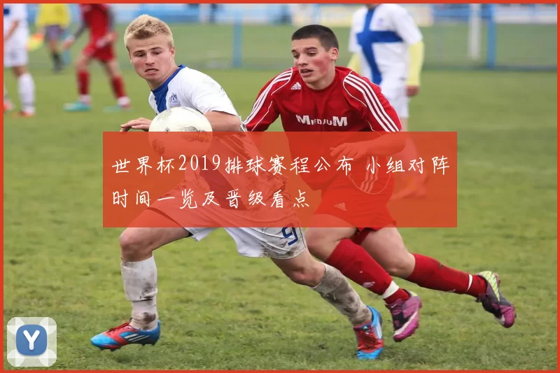 世界杯2019排球赛程公布 小组对阵时间一览及晋级看点